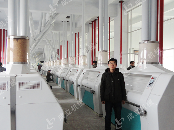 大型日產200噸面粉加工廠設備，自動化生產線